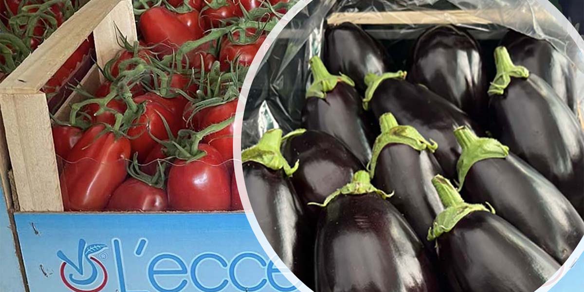 Segnali di risveglio per gli ortaggi: balzo per melanzana e pomodoro pixel